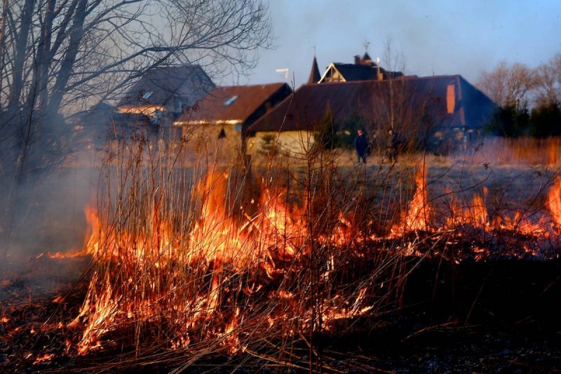 Поджигатель травы расстрелял потушивших огонь соседей