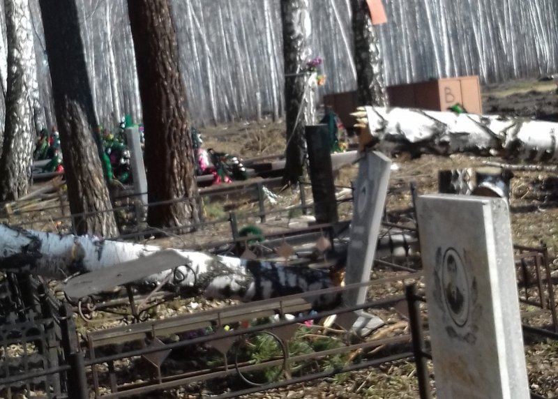 Упавшие березы повредили кресты и памятники на кладбище