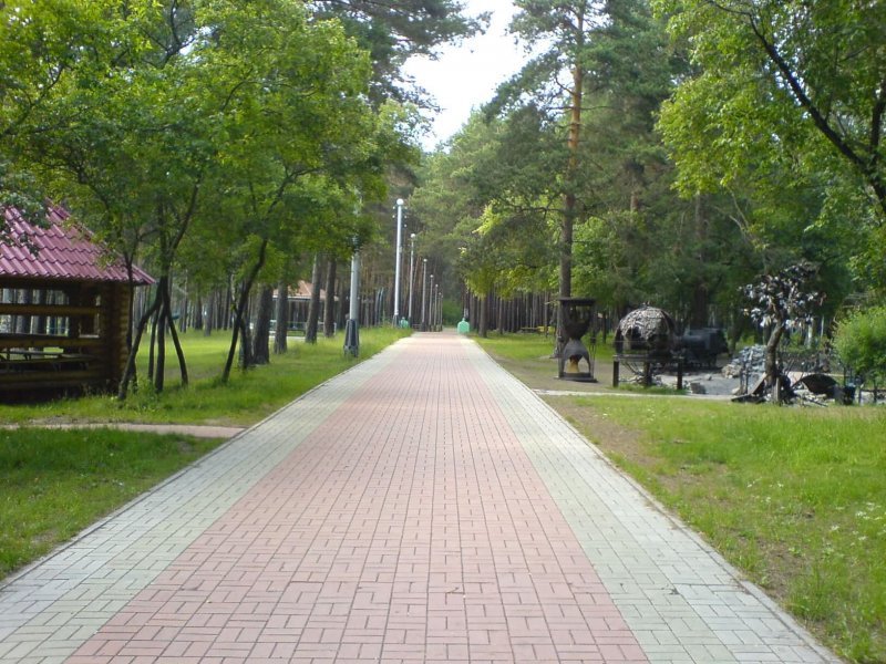 Заельцовский парк обязали заплатить строителям 37 миллионов