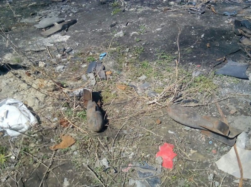 Два ржавых снаряда нашли на обочине дороги в Новосибирске