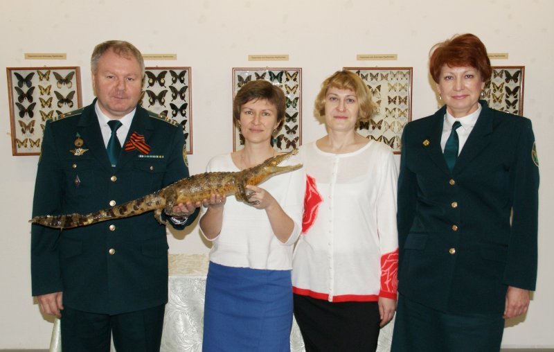 Таможенники сдали крокодила в краеведческий музей