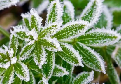 Новосибирцев предупредили о заморозках перед потеплением