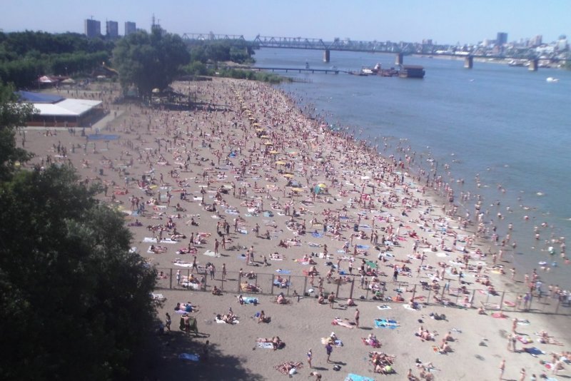 Новосибирцам запретили купаться на городском пляже