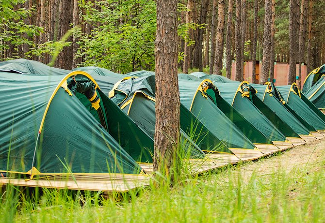 «Свидетелей Иеговы» ищут в лагере под Новосибирском