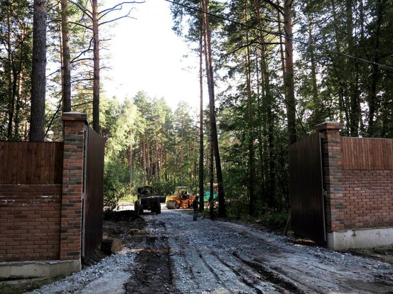 Лес у Заельцовского парка обнесли забором, ведутся вырубки 