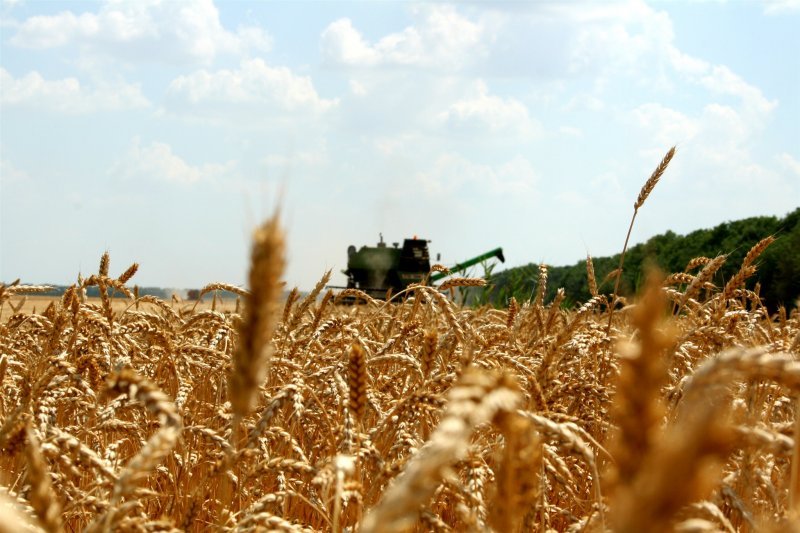 Новосибирские аграрии убрали первый миллион тонн зерна