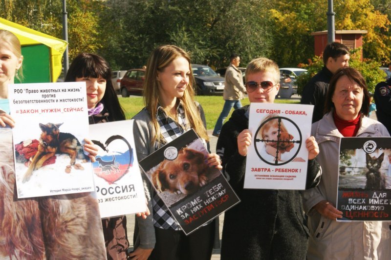 Активисты требуют штрафовать хозяев за брошенных животных