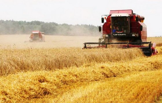 Аграрии собрали более двух миллионов тонн зерна