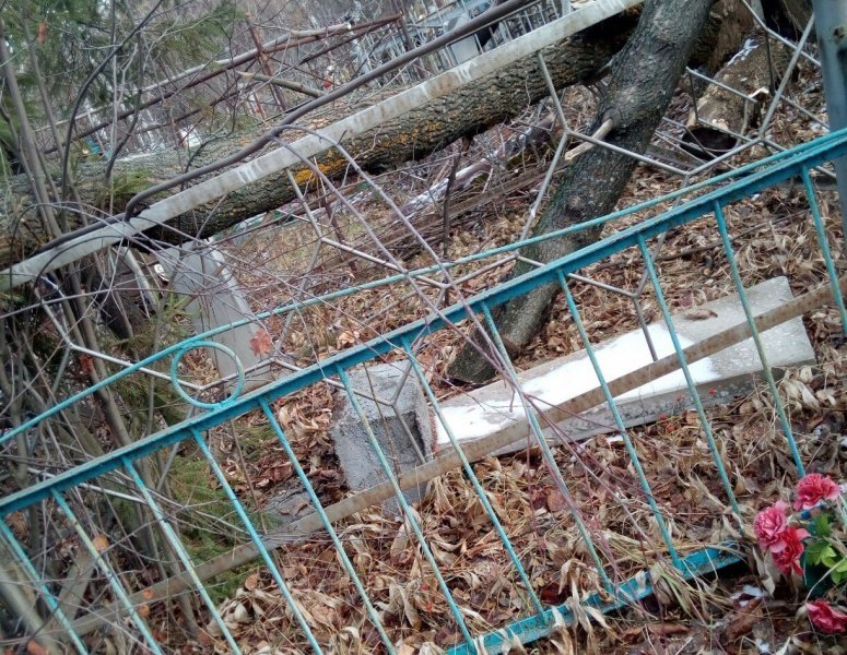 Спиленные деревья повредили памятники и оградки на кладбище