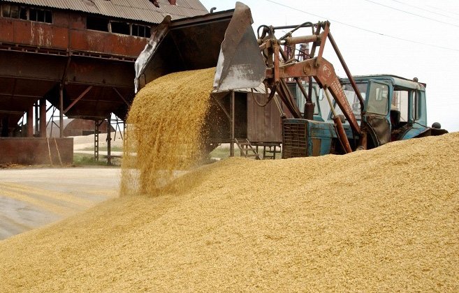Сибирское зерно на экспорт: власти добились передела рынка