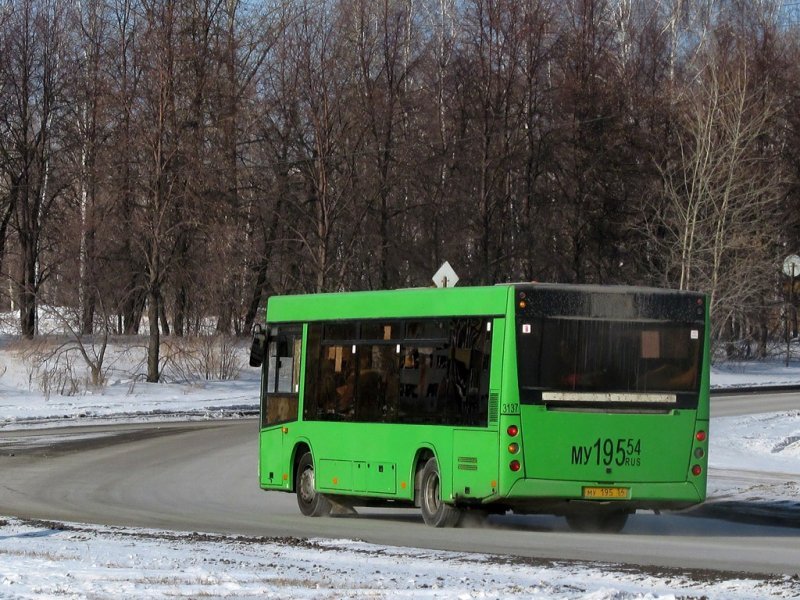 Автобус насмерть сбил женщину в Новосибирске