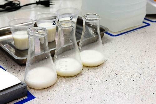 От поля до прилавка: можно ли «выжить» в молочном бизнесе