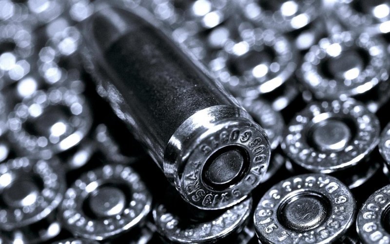 Новосибирцу дали условный срок за 11,5 тысячи патронов