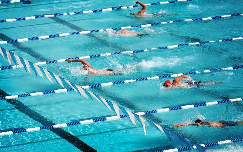 Новосибирские пловцы взяли 60 медалей на соревнованиях