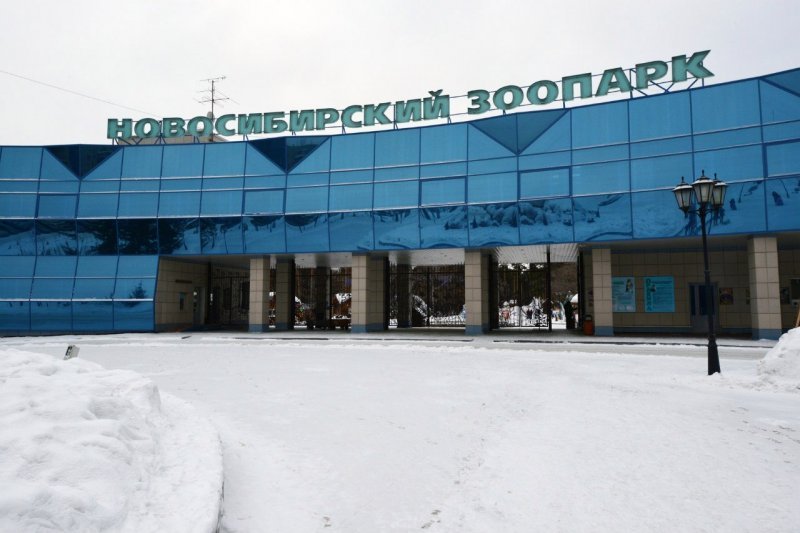 Новосибирский зоопарк открыл продажу билетов в интернете