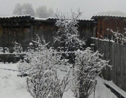 Район Новосибирской области засыпало снегом