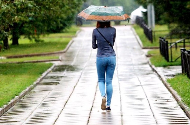 Тепло с дождями заглянет в Новосибирск накануне лета