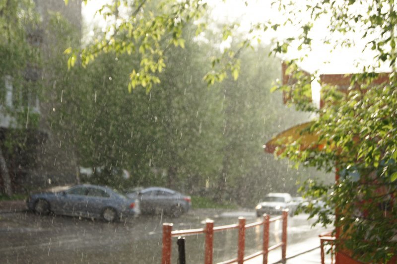 Тепло и дожди пообещали Новосибирску в длинные выходные