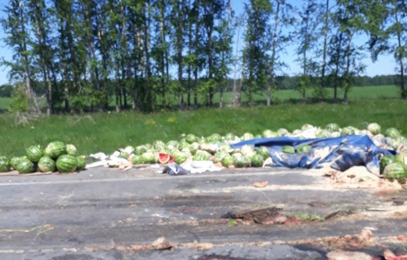 Две фуры засыпали арбузами трассу в Новосибирской области