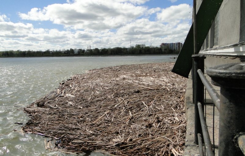 Рыбаков и судоводителей предупредили о сбросе древесины в Обь