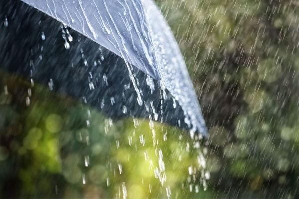 Теплый дождь пообещали синоптики новосибирцам в выходные 