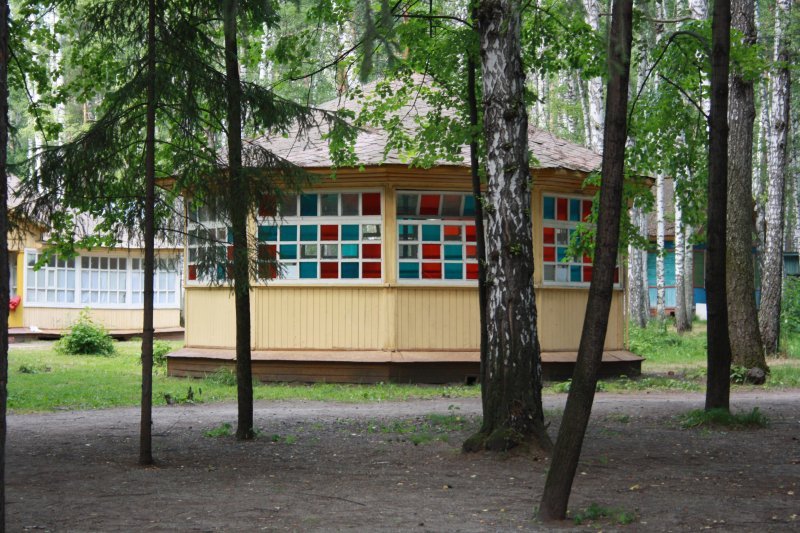 Детский лагерь в Новосибирске закрыли из-за инфекции