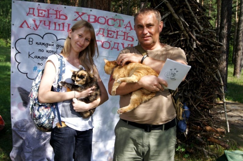 Влюбленной паре кошек нашли новый дом в «День хвоста»