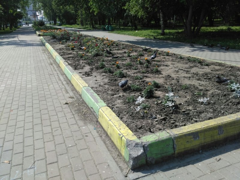 КБ «Стрелка» раскритиковала городскую среду Новосибирска 