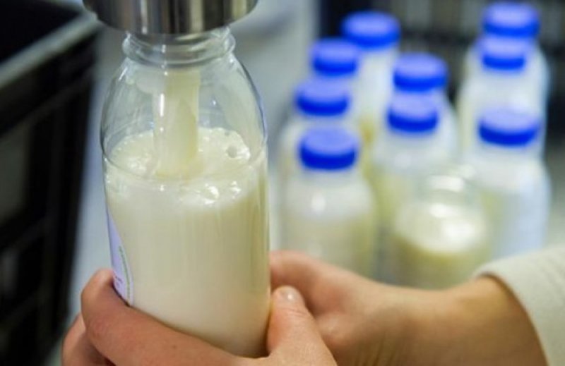 Производителей опасного молока нашли в Новосибирской области 