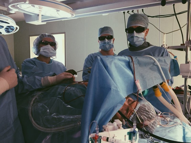 Хирурги прооперировали сердце через прокол с помощью 3D 