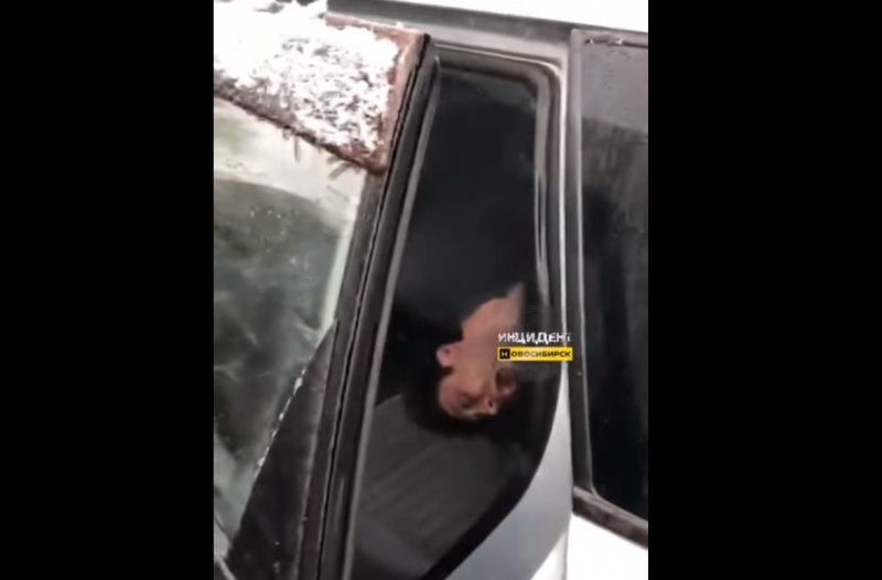 «Одержимый» водитель устроил ДТП в Новосибирске (видео, 18+)