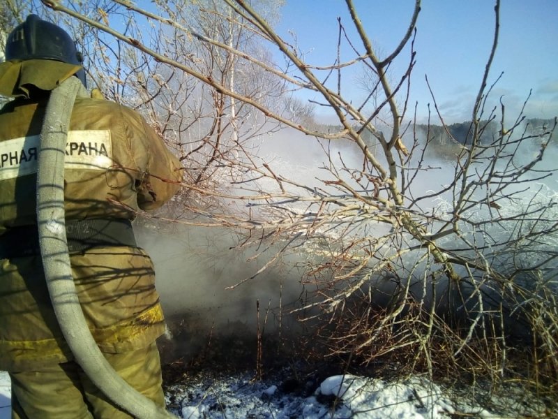 Торфяники горели под Новосибирском