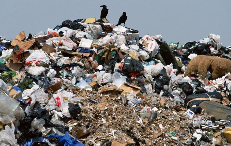 Власти объявили о готовности к новой схеме обращения с мусором