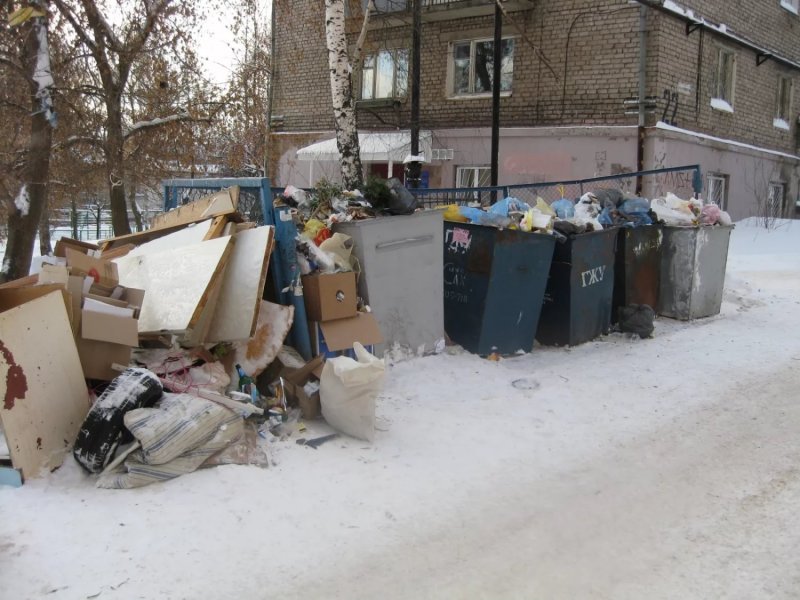 «Экология-Новосибирск» объяснила причину мусорных завалов 