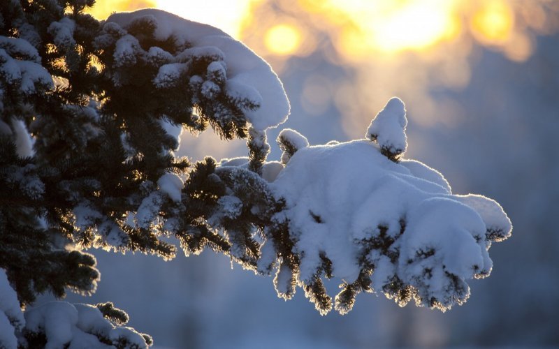 Теплая погода со снегом и метелями ждет новосибирцев