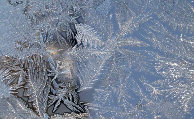 Новосибирск проводит январь тридцатиградусными морозами