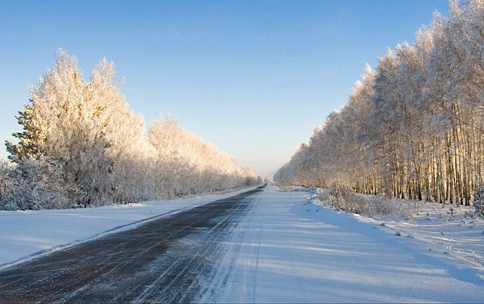Дорожники спасли от мороза путешествующую автостопом семью