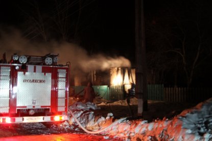 Мать и четверо детей сгорели в доме в Краснозерском районе 