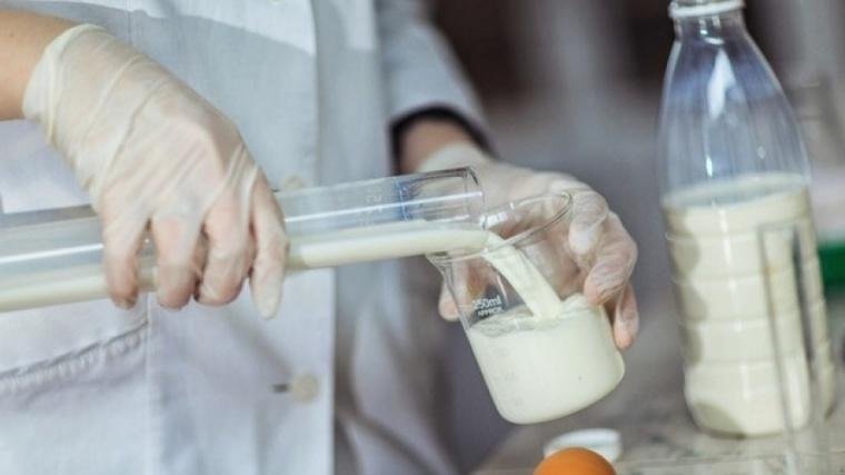 Молоко в Новосибирске сочли опасным для здоровья 
