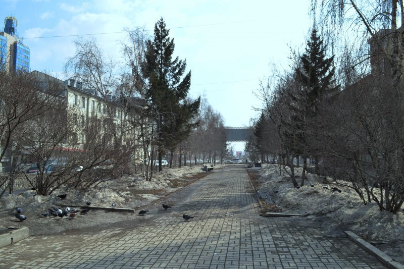 Начало апреля в Новосибирске будет теплее обычного