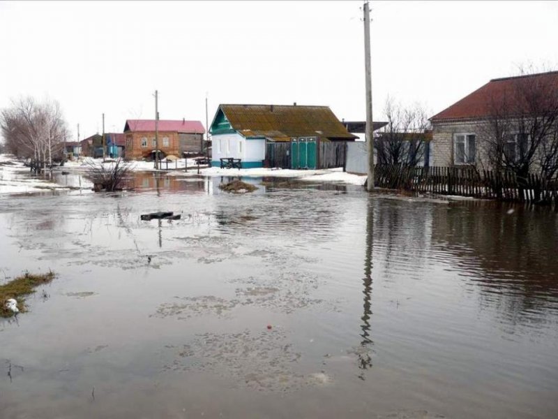 Талые воды затопили подвалы и участки в Новосибирской области