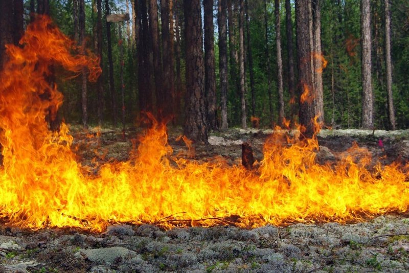 Пожароопасный сезон начинается в Новосибирской области