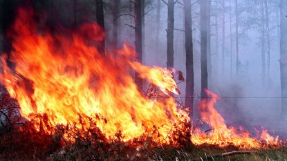 Борьбу с пожарами усилят на время майских праздников