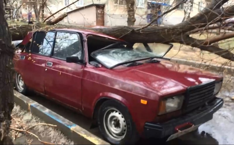 Штормовой ветер ломал деревья и срывал крыши в Новосибирске