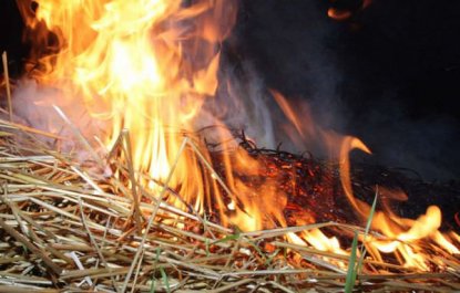 Склад с сеном и овсом горел в Новосибирской области