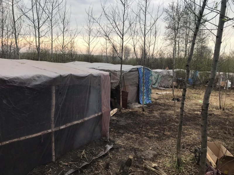 Нелегалы разбили палаточный город в лесу под Новосибирском