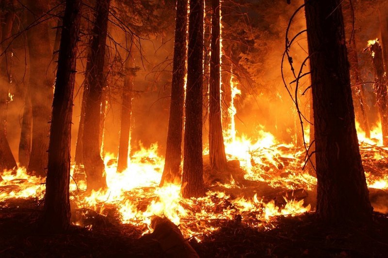 Травников напомнил чиновникам о горящей тайге 