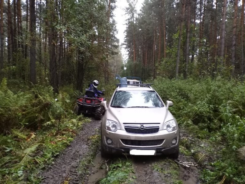 Грибник и поехавший ему на помощь водитель застряли в грязи