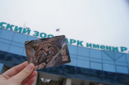 Новосибирский зоопарк подал в суд на мэрию