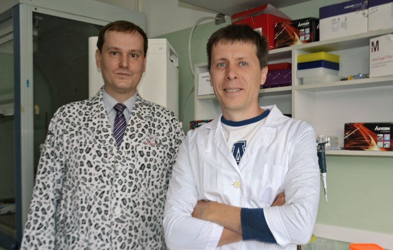 Новосибирские ученые ускорят создание вакцины от ВИЧ
